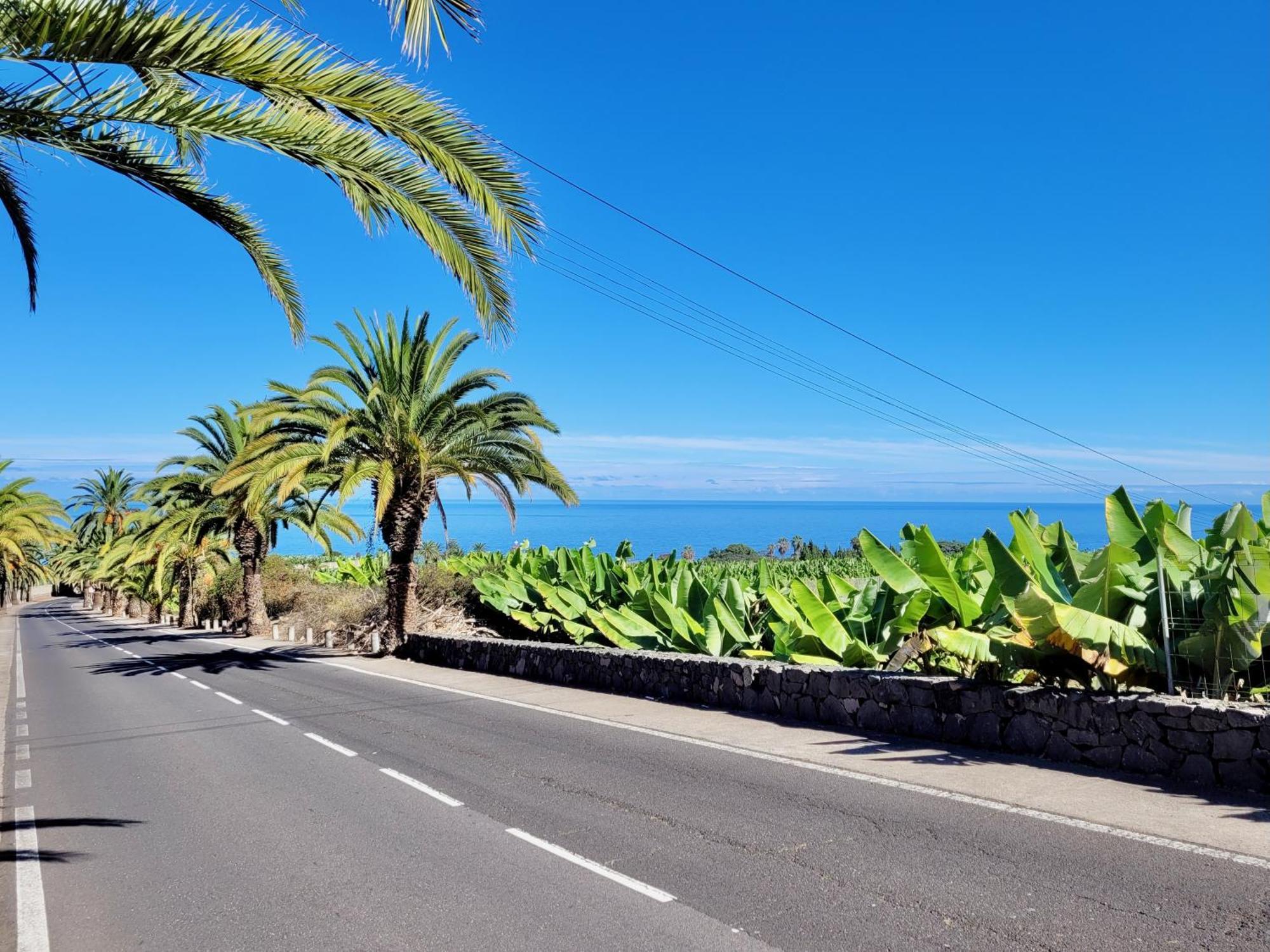 Casa Rural - Playa. Situada En Un Entorno Natural. La Orotava Ngoại thất bức ảnh